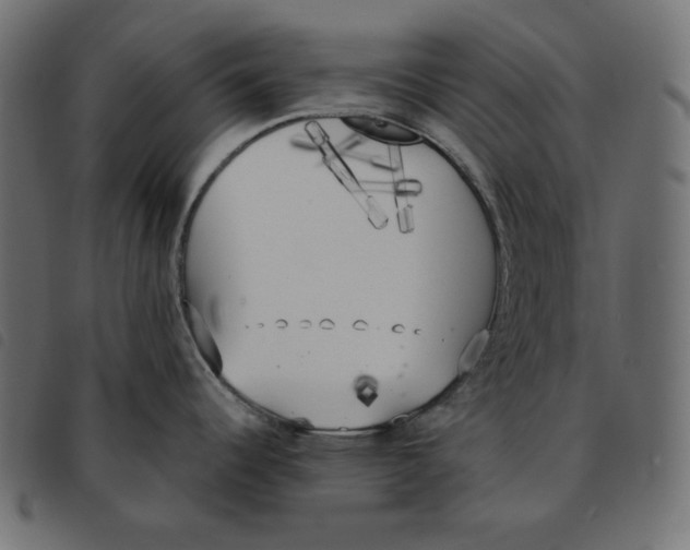X0000092331344200710121526