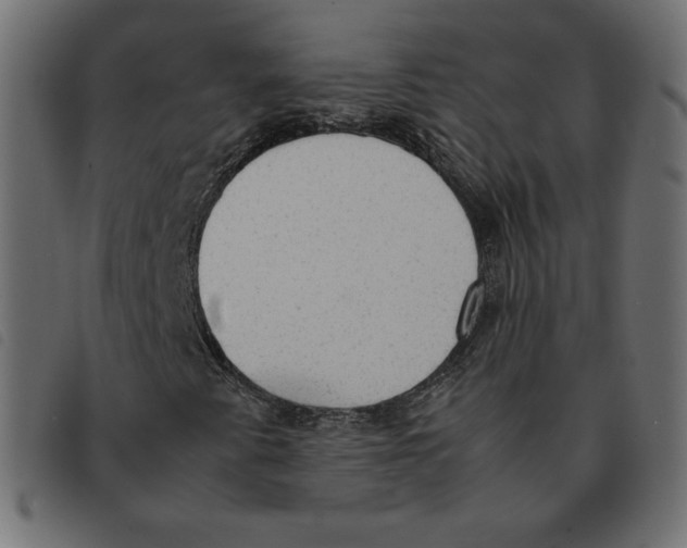 X0000092331345200710121525