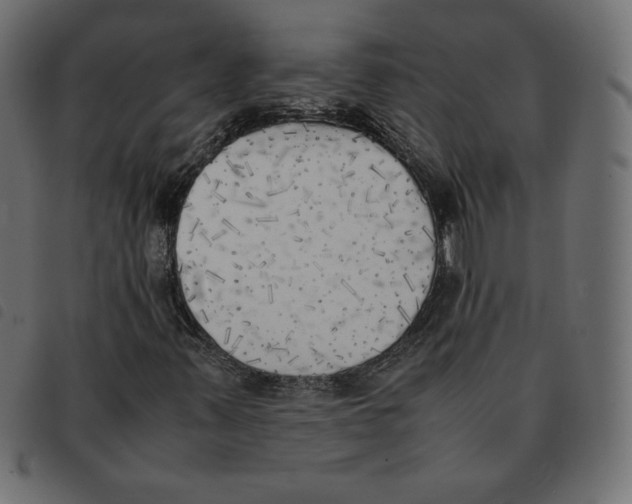 X0000092331347200710121525