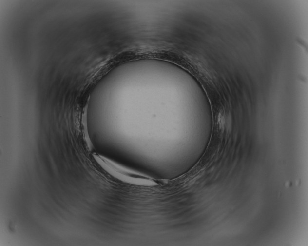 X0000092331348200710121525