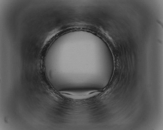 X0000092331352200710121525