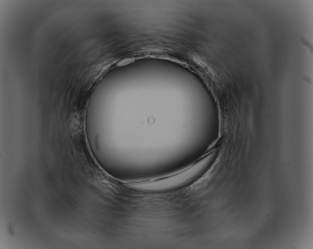 X0000092331353200710121525