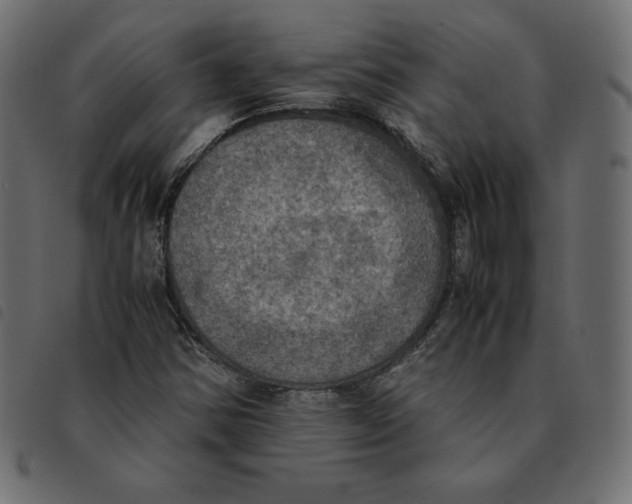 X0000092331354200710121525