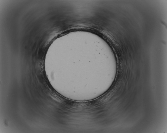 X0000092331355200710121525