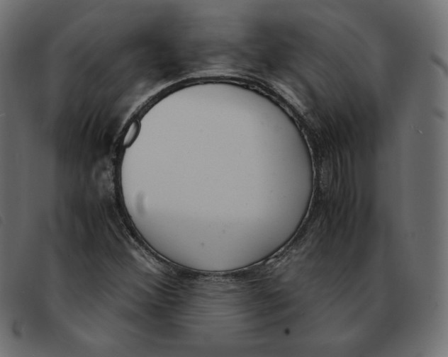 X0000092331356200710121525