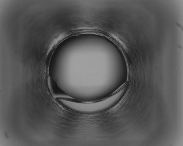 X0000092331357200710121525