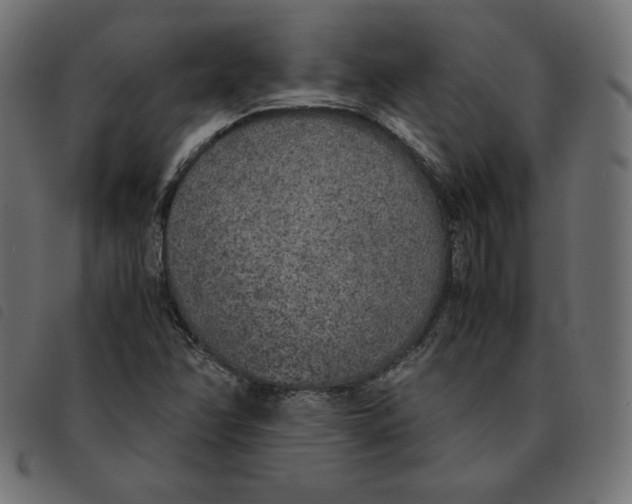 X0000092331358200710121525
