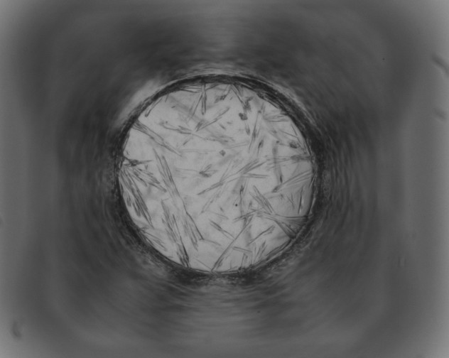 X0000092331359200710121525