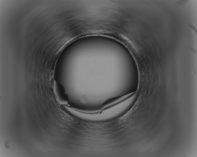X0000092331361200710121525