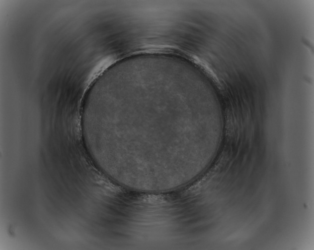 X0000092331362200710121525