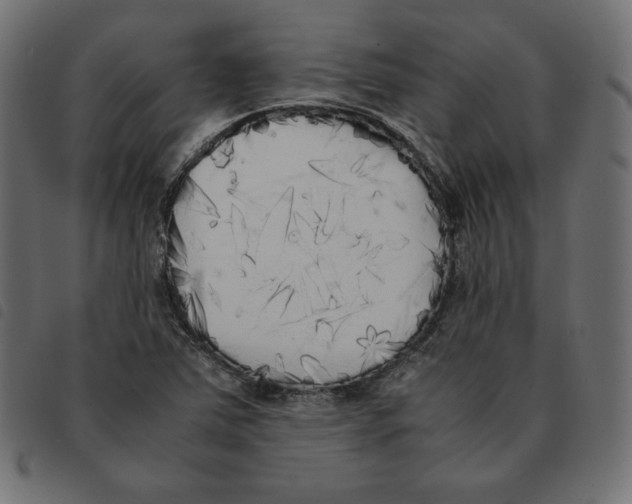 X0000092331363200710121525