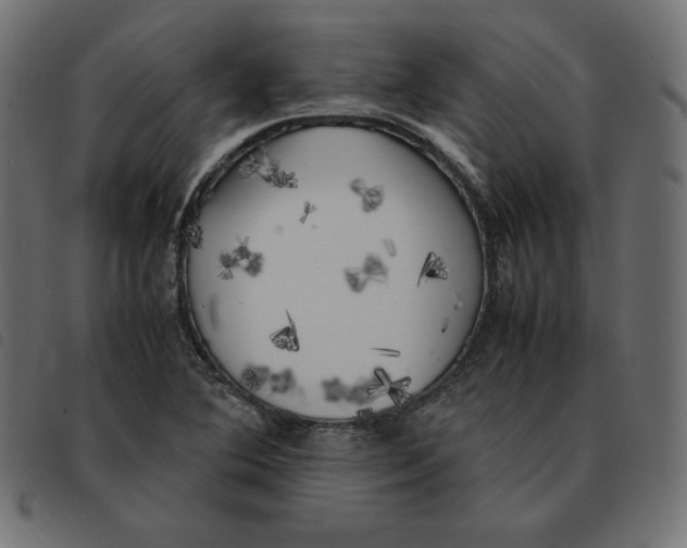 X0000092331364200710121525