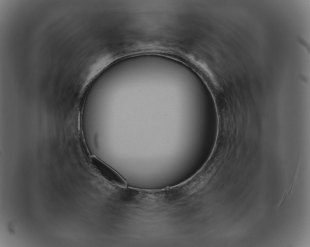 X0000092331365200710121525
