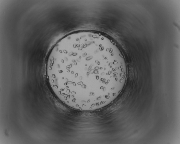 X0000092331366200710121525
