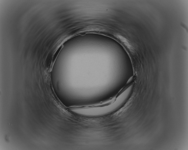 X0000092331369200710121525
