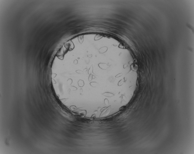 X0000092331371200710121525