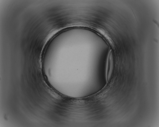 X0000092331372200710121525