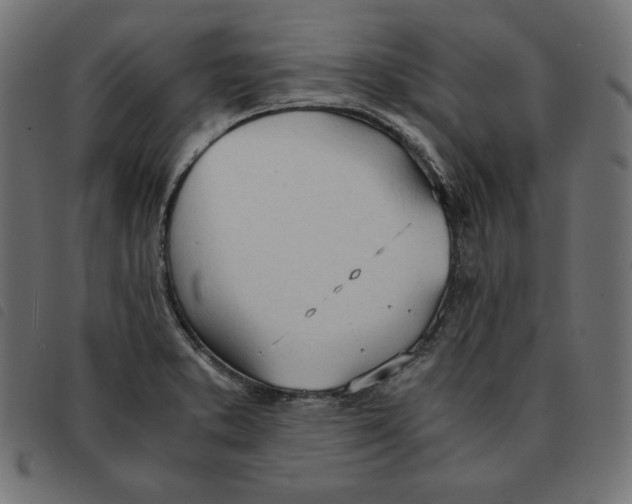 X0000092331373200710121525