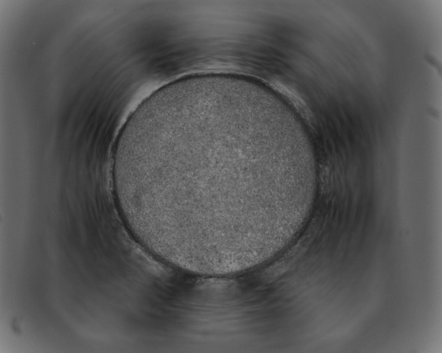 X0000092331374200710121525