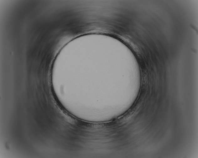 X0000092331375200710121525