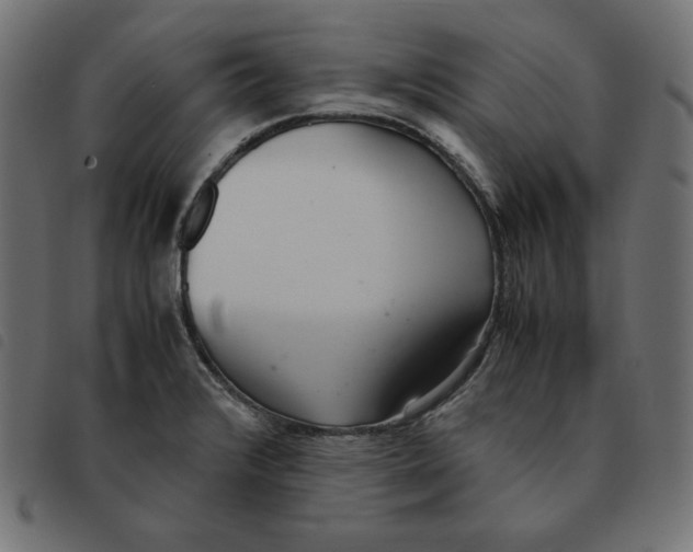 X0000092331376200710121525