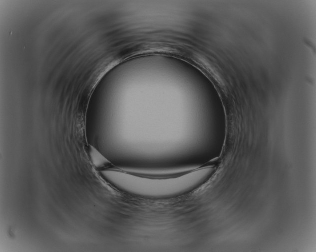X0000092331377200710121525