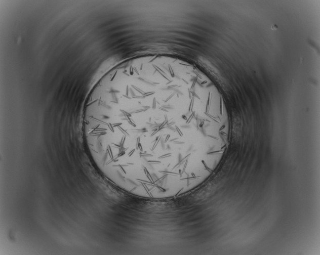X0000092331378200710121525