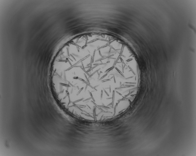 X0000092331379200710121525