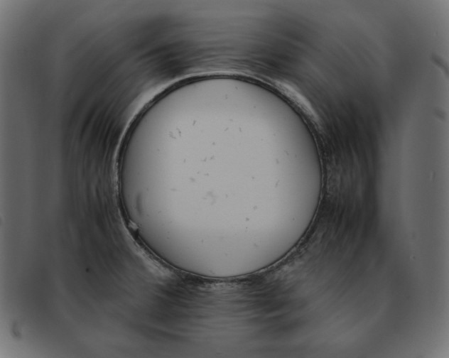 X0000092331380200710121525