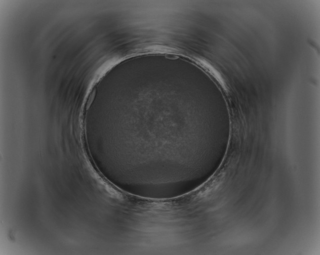 X0000092331381200710121525