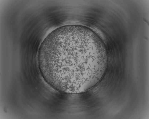 X0000092331382200710121525