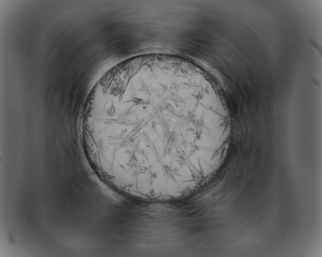 X0000092331383200710121525