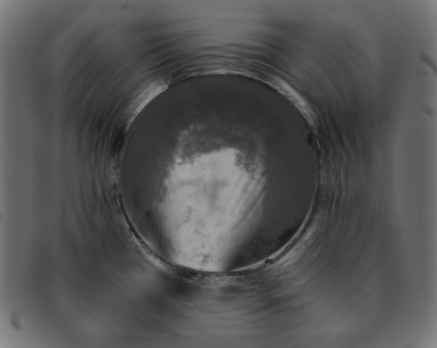 X0000092331385200710121525
