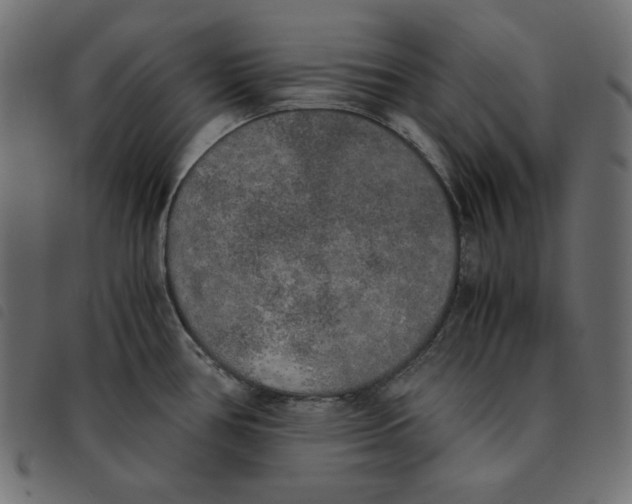 X0000092331386200710121525