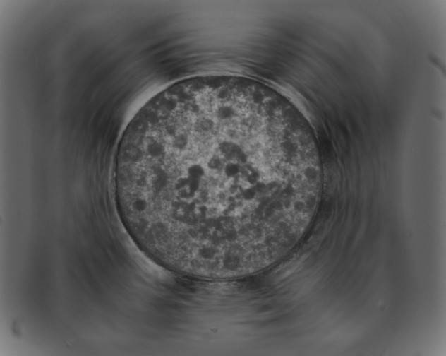 X0000092331387200710121525
