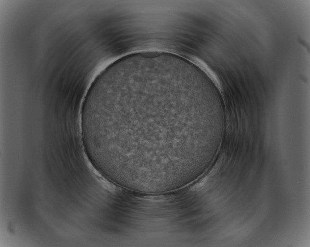 X0000092331388200710121525