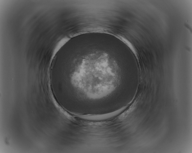 X0000092331389200710121525