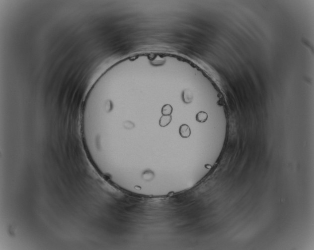 X0000092331390200710121525