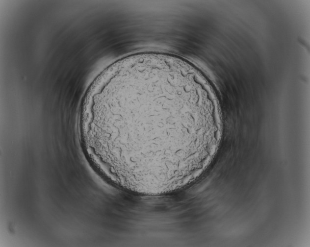 X0000092331391200710121525
