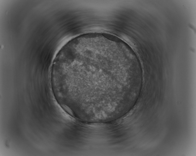 X0000092331392200710121525