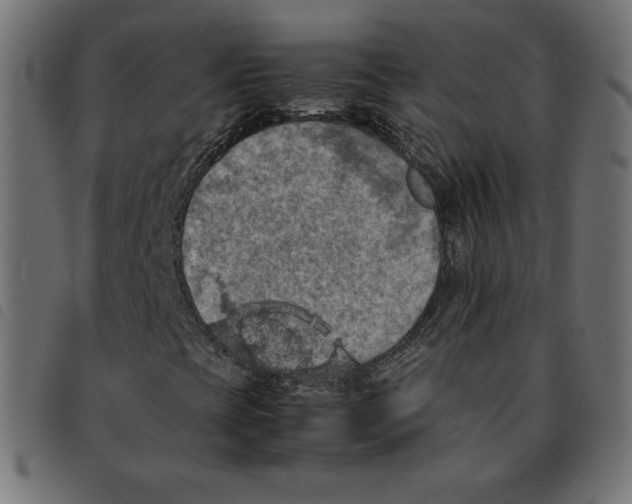X0000092331393200710121524