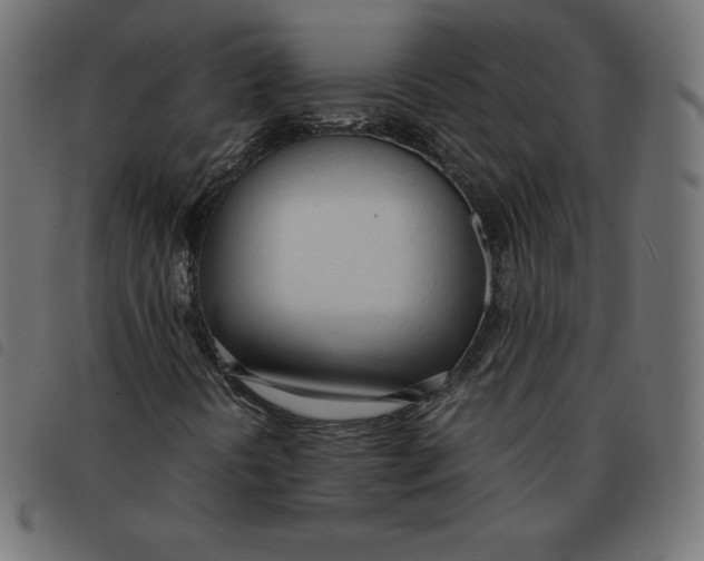 X0000092331394200710121524