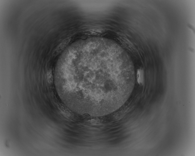 X0000092331395200710121524