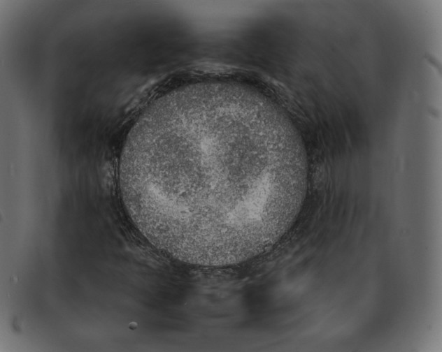 X0000092331397200710121524