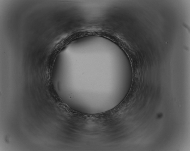 X0000092331398200710121524