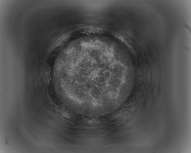 X0000092331399200710121524