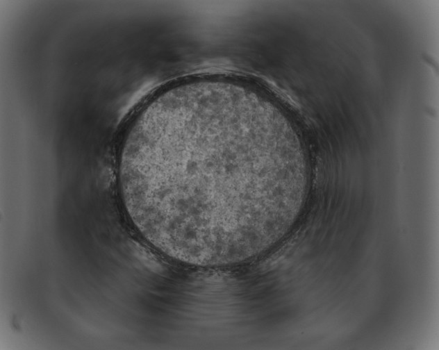 X0000092331400200710121524