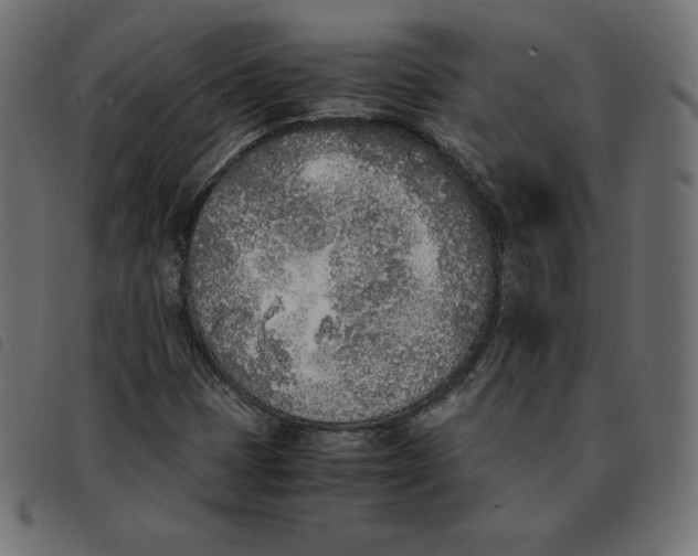 X0000092331401200710121524