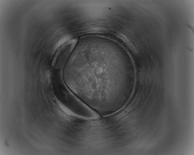 X0000092331402200710121524