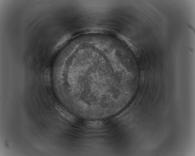 X0000092331403200710121524